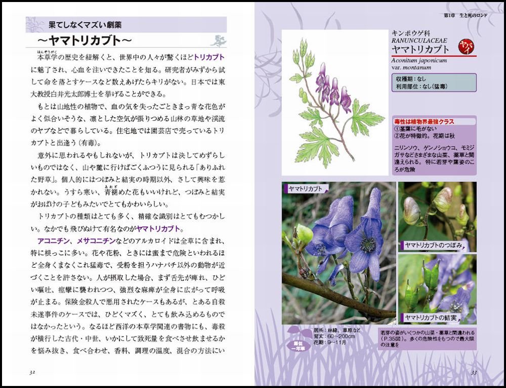 うまい雑草 ヤバイ野草 日本人が食べてきた薬草 山菜 猛毒草 魅惑的な植物の見分け方から調理法まで サイエンス アイ新書 森 昭彦 本 通販 Amazon