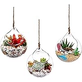 Ivolador Set of 2PCS 4.7 Inches Hanging Plants Glass Terrarium Container Air Plant Holder Succulents Globe Shape Home Garden 