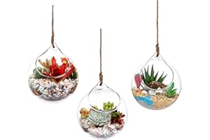 IVOLADOR I Glass Hanging Planter,Air Fern Holder,Terrarium Container,Air Plants Succulents Globe Shape Home Garden Décor Gift for Plant Lover 3PCS 4.7 Inches