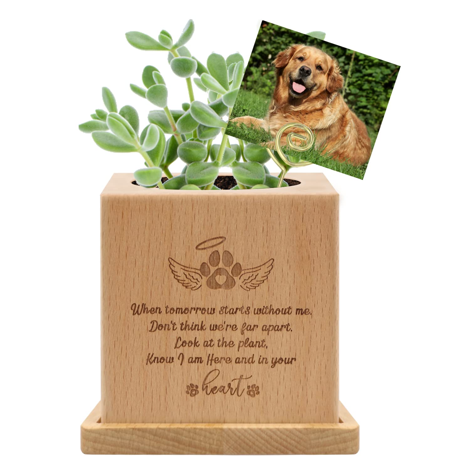 free-space Dog Memorial Gifts Wooden Plant Pot with Mat Succulents Indoor Remembrance Sympathy Gifts for Loss Pet (Style 1)