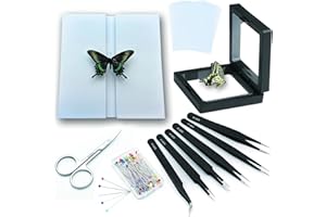 SRRPSPIGEON Insect Taxidermy Tools Butterfly Insect Taxidermy Tools Spreading Wing Board Set EVA pin Board 5x5inch PE Insect Box Butterfly Taxidermy Tools+sulfate Paper 6pcs Tweezers Set