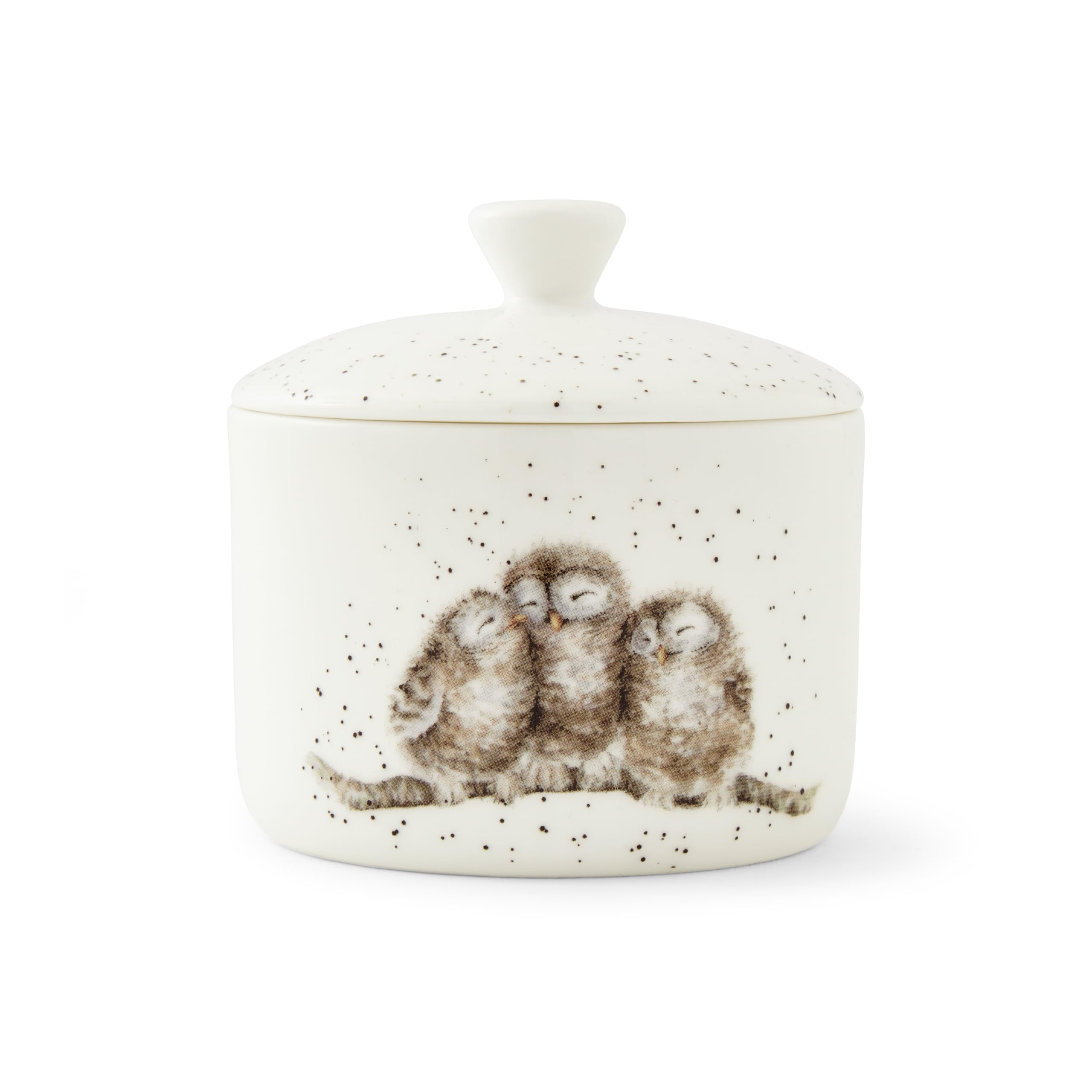 Wrendale Designs 9.5cm Lidded Storage Jar Small (Owl)