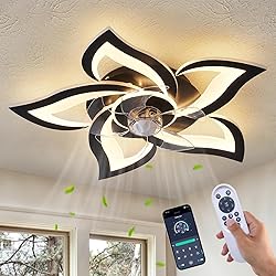 Dalouguan Ceiling Fan with Lights Remote