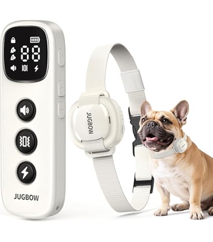 Amazon.com: Vibrating Dog Collar - NO Shock - Small Dog Training Collar  with Remote - Fits Small Dogs Under 15 pounds (Between 5-15 lbs) - Vibration  & Sound Only - 1,000 FT