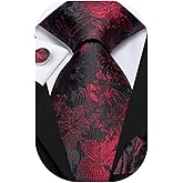 Dubulle Ties for Men Silk Mens Paisley Floral Striped Necktie and Handkerchief Cufflinks Wedding