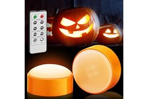 Luditek 2-Pack Halloween LED Pumpkin Lights with Remote and Timer, Battery Operated Orange Jack-O-Lantern Light for Halloween Decor, Flameless Candles for Pumpkin Decorations