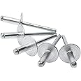 ISPINNER 50pcs 3/16" x 1/2" Large Flange Aluminum Blind Rivets, 4.8 x 12mm Pop Rivets (Silver)
