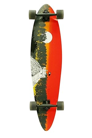 Quest 2012 Classic Longboard Skateboard 40 Inch Review