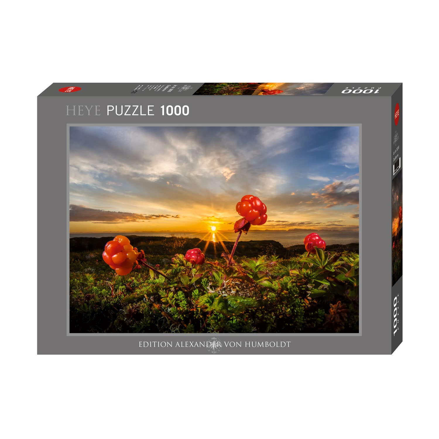 Heye Puzzles - 1000 Pc - Cloudberries, AvH