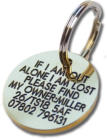 brass pet tag