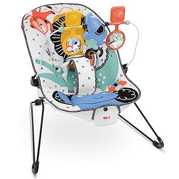 amazon fisher price bouncer
