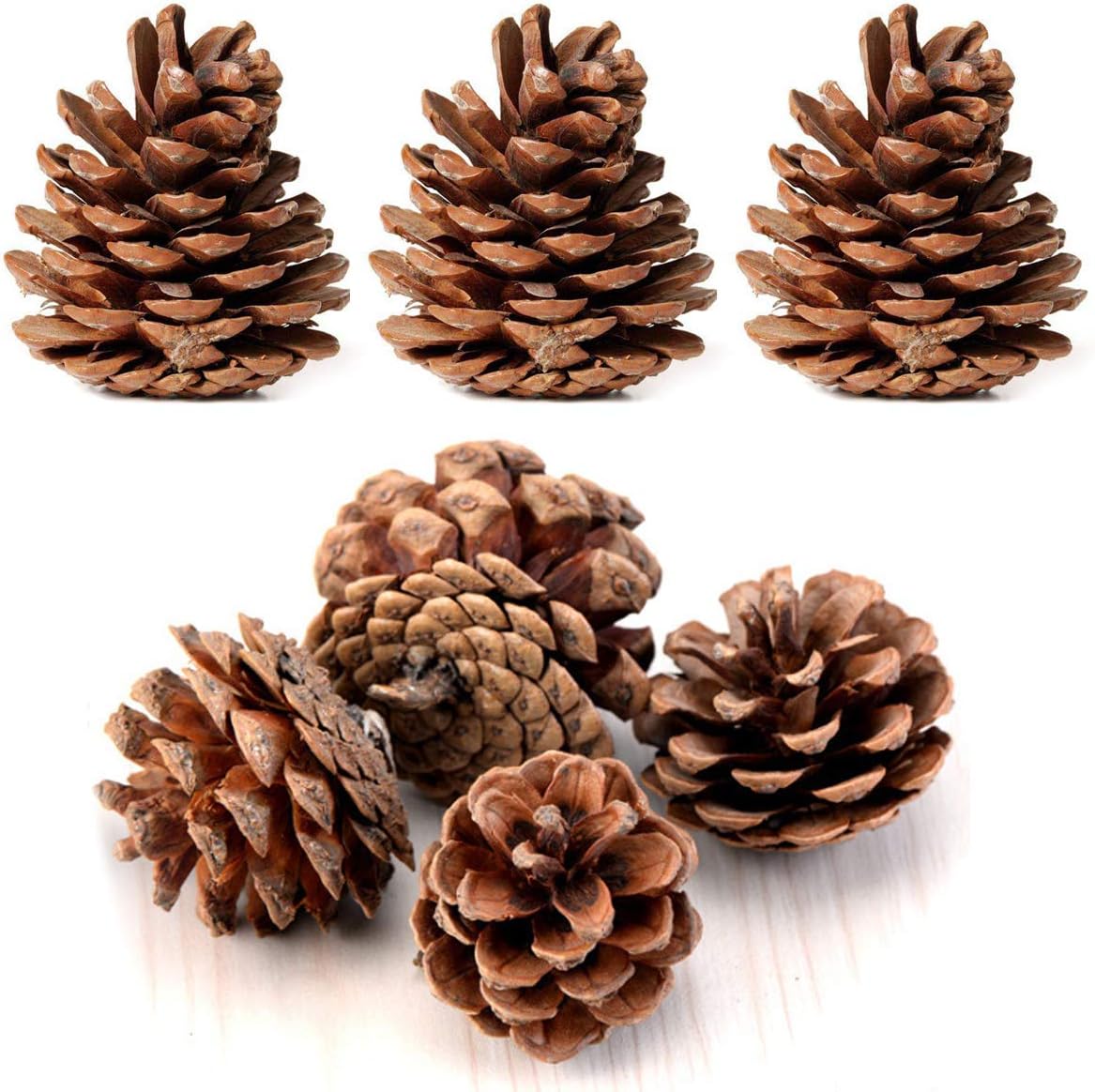 Vase Fillers - Bulk Package of Natural Pinecones-24 Pack