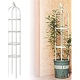 6ft Garden Obelisk Trellis for Climbing Plants-Rustproof Metal Pipe with Heavy Duty Plastic Coated, Garden Outdoor Indoor Potted Plant Support for Clematis Vine Jasmine Support （White）