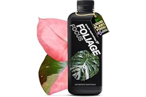 Growth Technology GT Foliage Focus - Liquid Indoor Plant Food for Houseplants, Tropical Plants, Aroids, Ferns and Palms – Concentrated Formula for Vibrant Leaves and Dense Foliage – 1 Quart (946 mL)