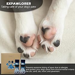 EXPAWLORER Anti Slip Dog Socks to Prevent Licking