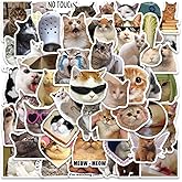 Cute Cat Stickers, Funny Cat Meme Stickers for Adults, 50PCS Funny Kawaii Animal Vinyl Waterproof Sticker for Laptop, Water Bottles, Phone, Scrapbook, Kiiten Pet Lovers Decals(B)