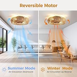 Mcestna Caged Ceiling Fan with Lights - 20 Inch