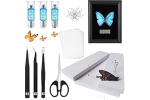 DDDZERONG New 2025 Insect Preparation Kit, Classroom Insect Preparation Kit, Includes EVA Table, Insect Pins, Tweezers, Insect Display Case 7x9in