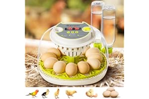 XYNZZEU Incubators for Hatching Eggs, 12 Egg Incubator with Automatic Egg Turning and Humidity Control, Incubator for Chicken/Quail/Duck Eggs with Temperature Control/LED Egg Candler, 360 Degree View