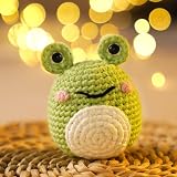 CROCHET BOX Tortoise Crochet Kit for Beginners Learn to Crochet view 7