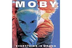 Everything Is Wrong