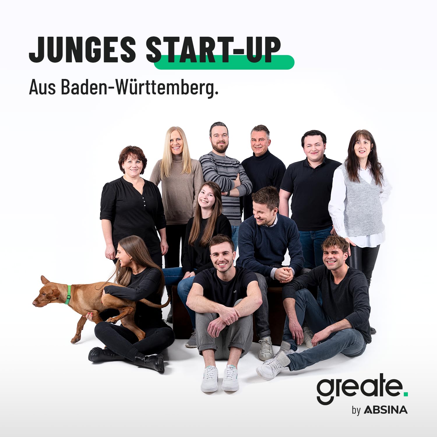 greate Innensechskantschlüssel Set mit Kugelkopf 13 teilig - 1,27 bis 10 mm Sechskantschlüssel Set aus CRV Stahl mit stabilem Klapphalter 7