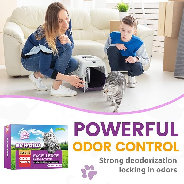 NEWORD CRYSTALS CAT LITTER LIGHTLY SCENTED LITTER SUPERIOR ODOR CONTROL 14 LBS TOTAL (2 PACK OF 7LB BAGS) SOFT-ON-PAWS LOW TRACKING DUST-FREE PURPLE SILICA GEL, LAVENDER