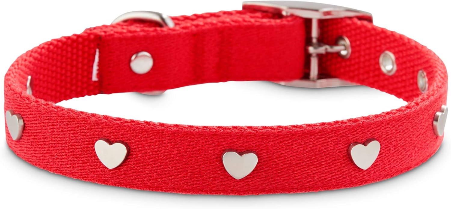 bond and co dog collar