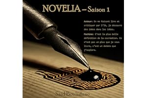 Novelia, Littérature critiquée par l'IA: Saison 1 - Trouver le dernier maillon d'une équipe qui va challenger l'IA. (French E