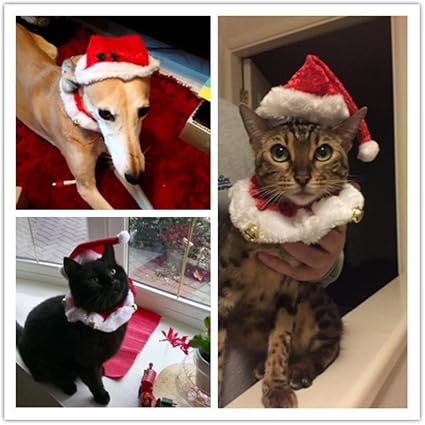 Immagini Di Natale Con Cani E Gatti.Set Di Collare E Cappello Di Natale Per Piccoli Animali Domestici Con Campanella Costume Di Natale Per Cani E Gatti Caldo Morbido Delizioso Amazon It Prodotti Per Animali Domestici