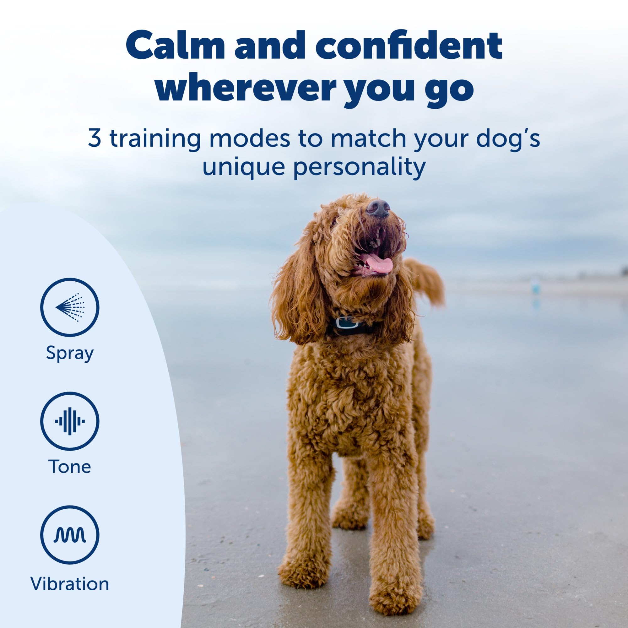 PetSafe Remote Spray Trainer, Dog Training Collar - 3 Modes: Tone, Vibration or Spray - Rechargeable and Water-Resistant includes Citronella and Unscented Spray Refills - 300 Yards (900 Feet) Range