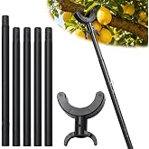 Stainless Steel Tree Support Pole with Crutch, Adjustable Fruit Tree Stake | 20‑88‑inch adjustable height, black stainless‑steel build, holds up to 100 lbs, tree branch support pole for leaning tree