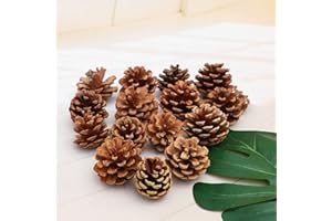 QHZHANG Natural Bulk Pine Cones,Christmas Tree Fall Ornaments,Christmas Rustic Pinecones for Home Party Decorations-18PCS