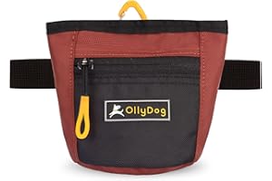 OllyDog Goodie Treat Bag, Dog Treat Pouch, Waist Belt Clip for Hands-Free Training, Magnetic Closure, Dog Training and Behavior Aids, Three Ways to Wear (Cider)