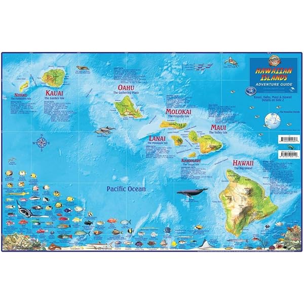 地図・旅行ガイド GOGO HAWAII 地図・旅行ガイド GOGO HAWAII Hawaii Travel Maps – Hawaii Guide