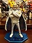Amazon.com: Portrait.Of.Pirates : One Piece NEO-DX Monkey D. Garp ...