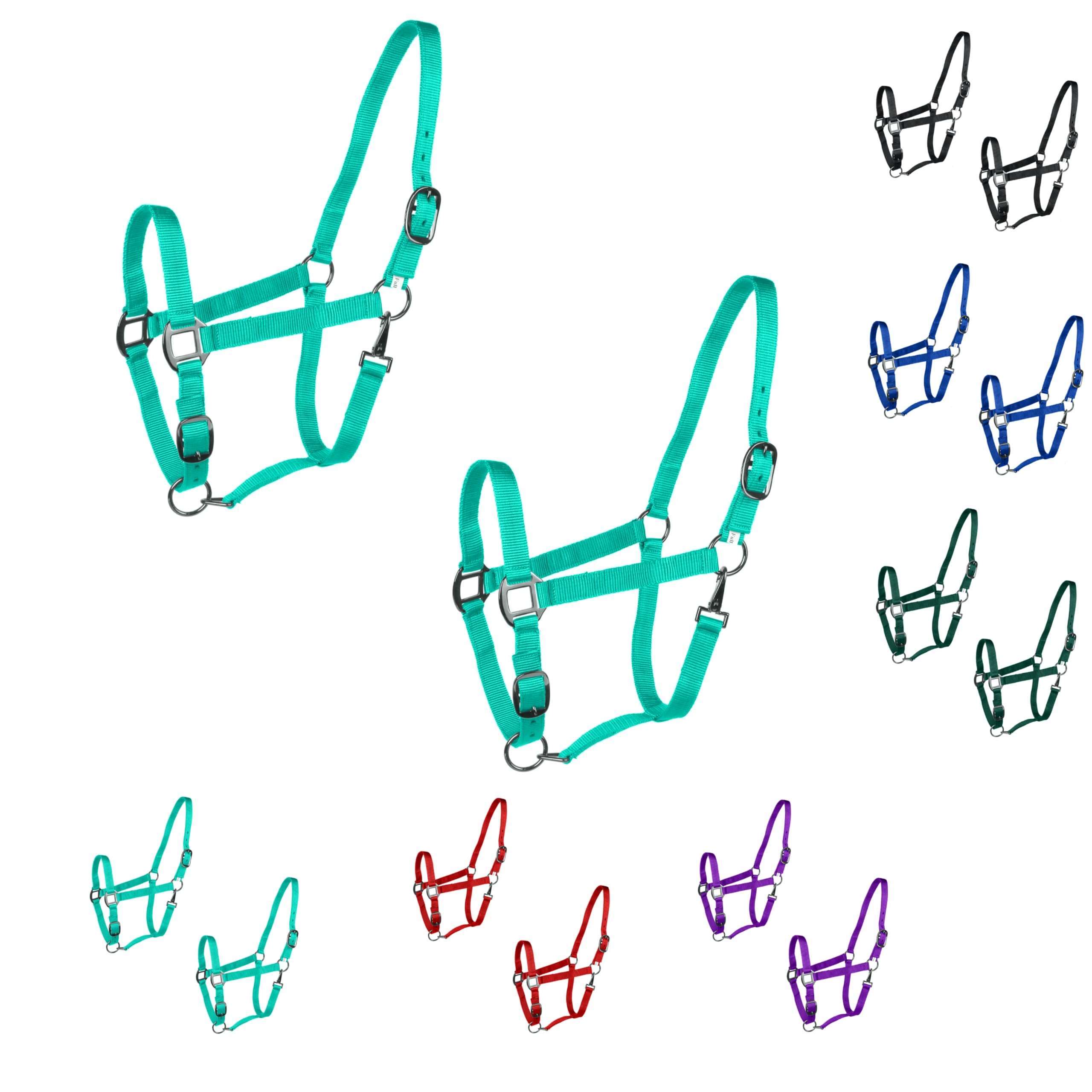 Majestic Ally Pack of 2 Adjustable Headcollar for Horses–Adjustable Chin and Crown– Sewn-in Throat Snap Hook- Full (Turquoise, Full)