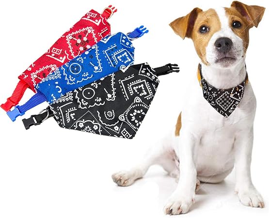 best cat cone collar