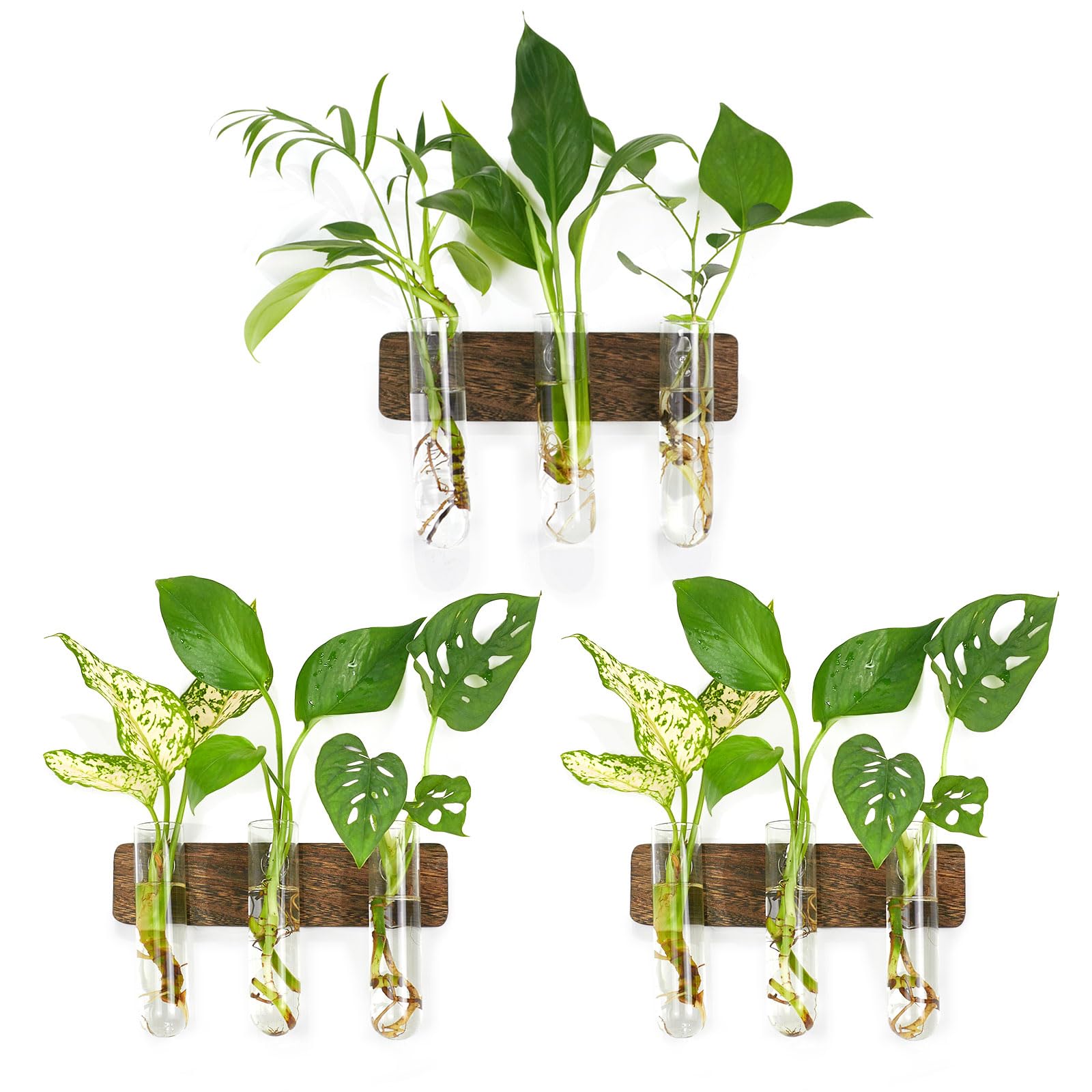 XXXFLOWER Wall Hanging Propagation Station for Plants Glass Hanging Planter Flower Test Tube Vase Gifts for Plant Lovers House Hyindoor Plant Terrarium with Wooden Stand Home Indoor Decor 9 Bulb Vase