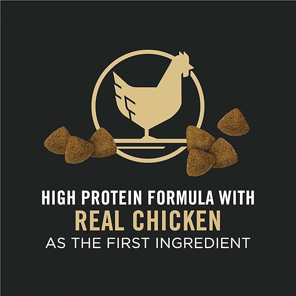 PURINA PRO PLAN CALM & BALANCED DRY DOG FOOD, ADULT DOG CALMING DHA CHICKEN & RICE FORMULA – 5 LB. BAG