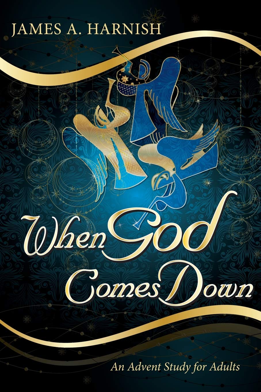 When God Comes Down: An Advent Study For Adults (9781426751080)