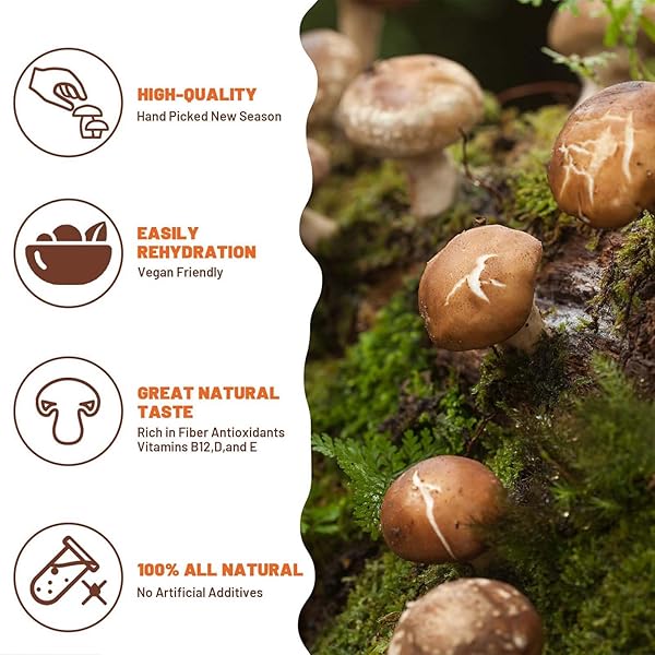 ORGANIC NATURAL DRIED MUSHROOMS – PREMIUM FLAVORS |GRADE EXTRA DRY MUSHROOMS FOR SOUPS, SAUCES, PASTA AND RISOTTO, REHYDRATE QUICKLY, ALL NATURAL & VEGAN | 8 OZ