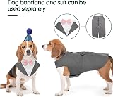 Kuoser Dog Tuxedo and Bandana Set Puppy Formal Wear Small to XXL view 3