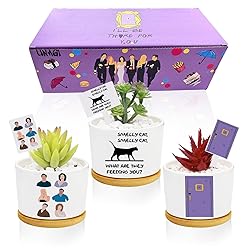 Funny TV Show Planter Pots,TV Show Merchandis Gifts