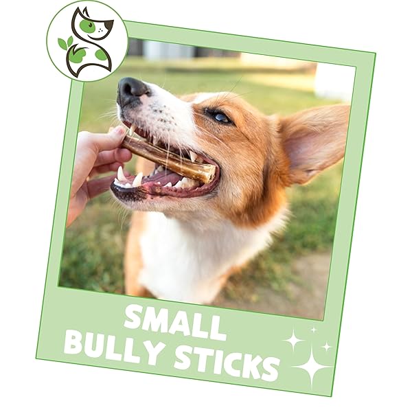 NATURE GNAWS SMALL BULLY STICKS FOR DOGS 5-6″ (25 COUNT) – LONG LASTING FOR LIGHT CHEWERS AND PUPPIES – NATURAL THIN BEEF DOG CHEW BONES – RAWHIDE FREE
