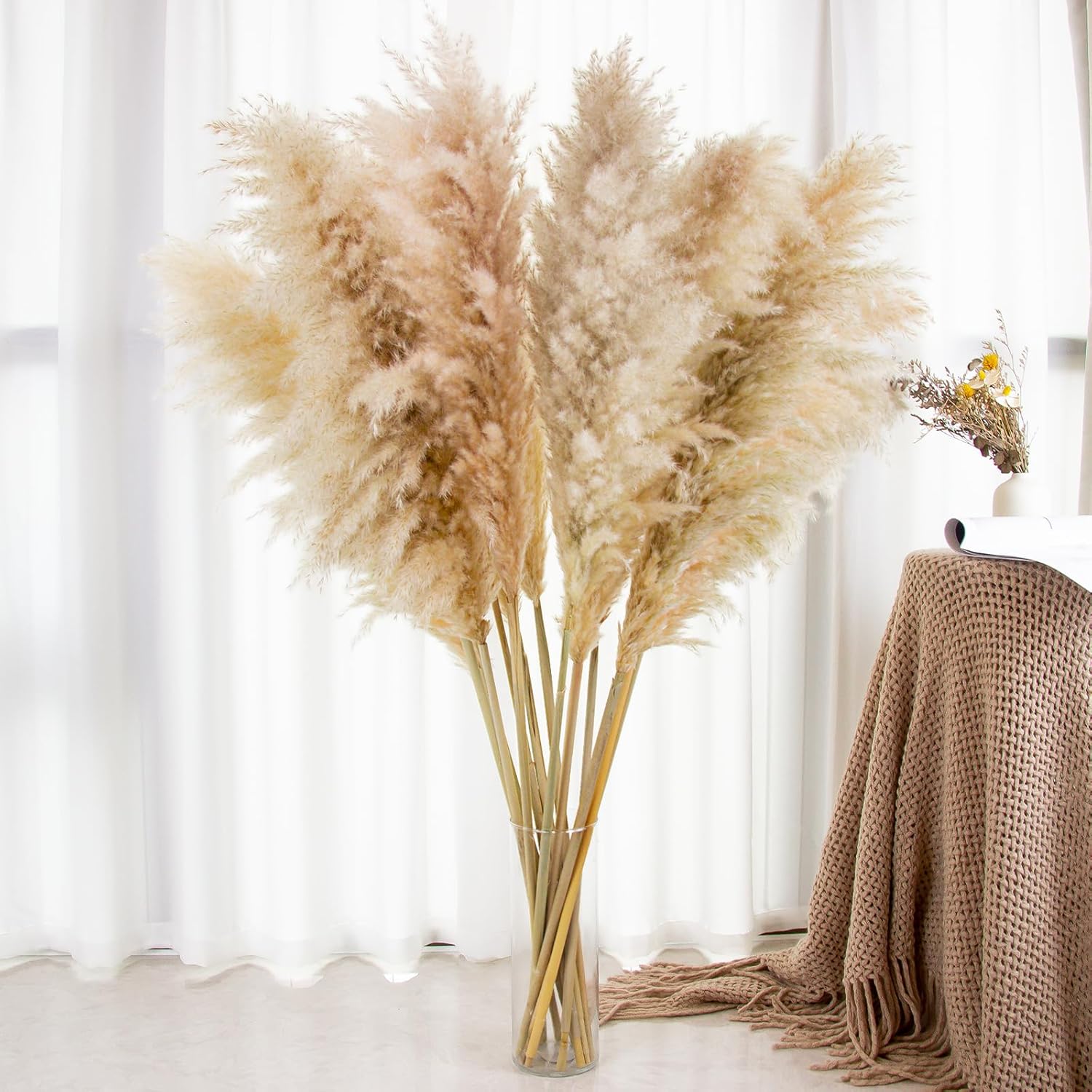 Dried & Preserved Flora - Pampas Grass Decor Tall, 40