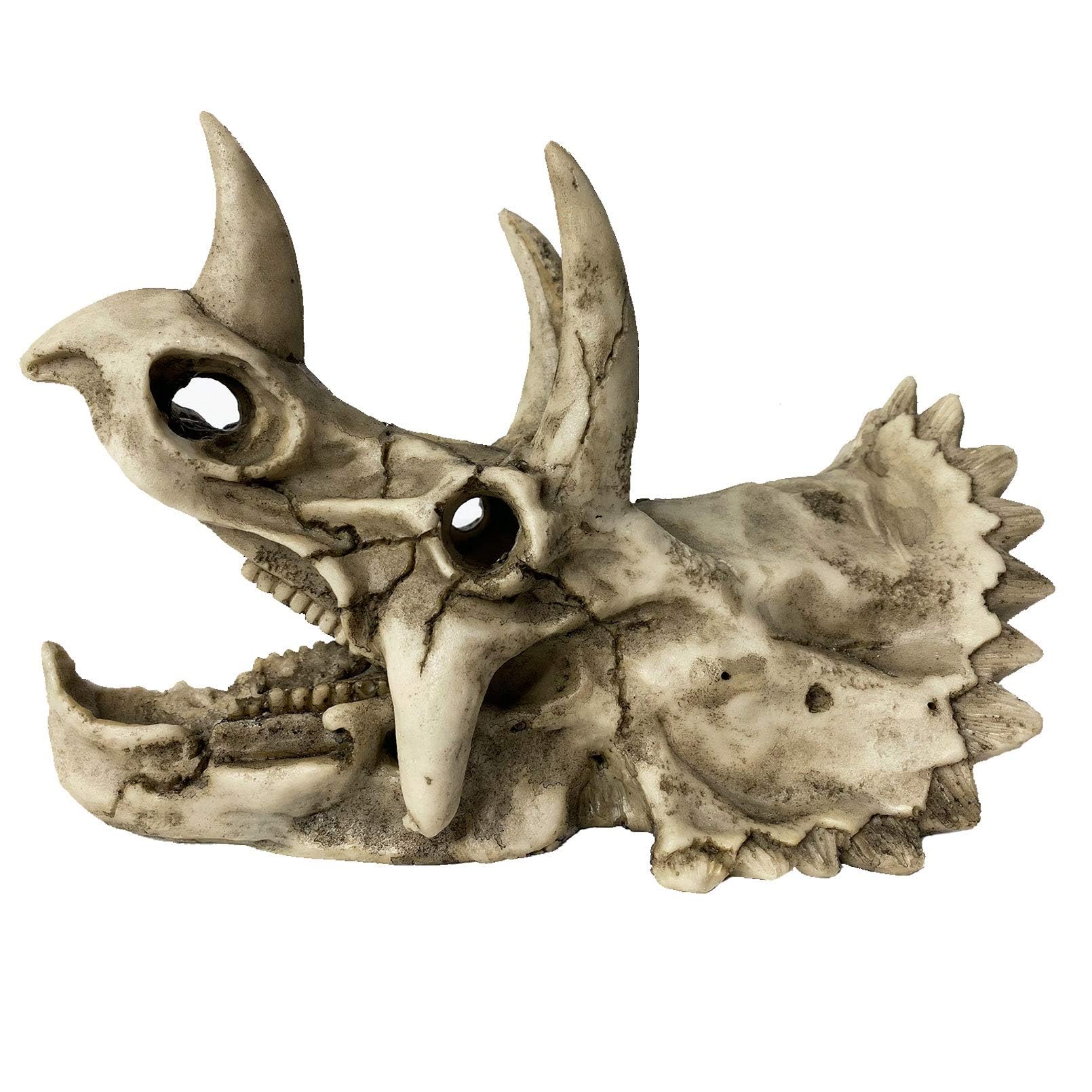Photo 1 of kathson Large Resin Dinosaur Triceratops Skull Décor Aquarium Decoration Reptiles Hideout Fish Tank Ornament Home Landscape Decor