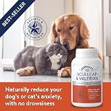 DORWEST HERBS Scullcap & Valerian Calming Tablets for Dogs & Cats 500 view 5