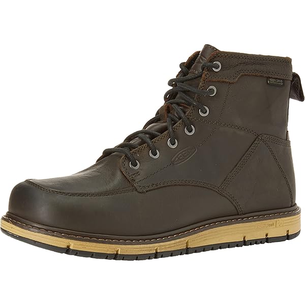 Amazon.com: Danner Men's 45200 Explorer 6