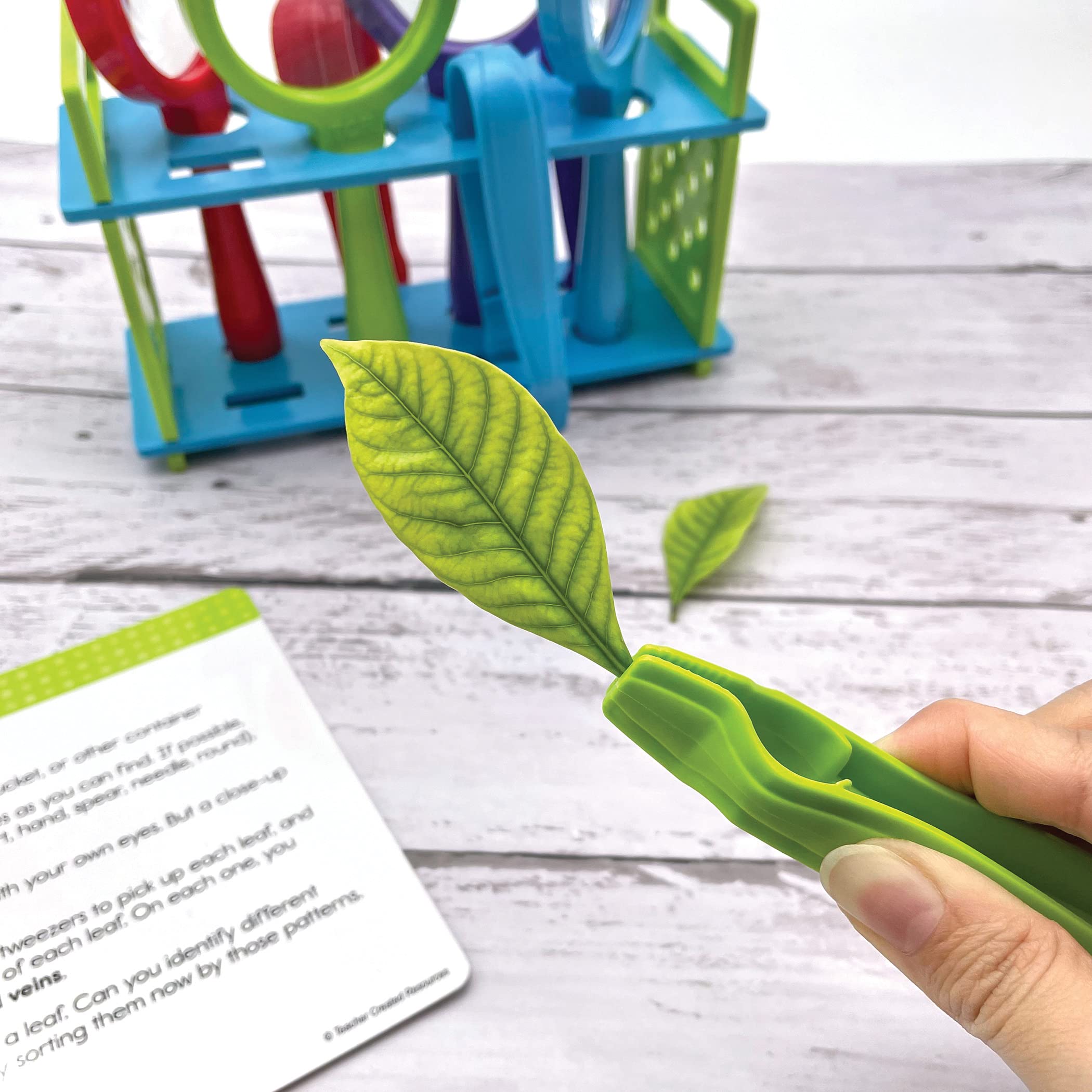 Teacher Created Resources Up-Close Science: Magnifying Glasses & Tweezers Activity Set (TCR20368)